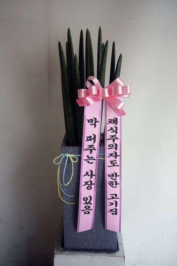 업로드 이미지