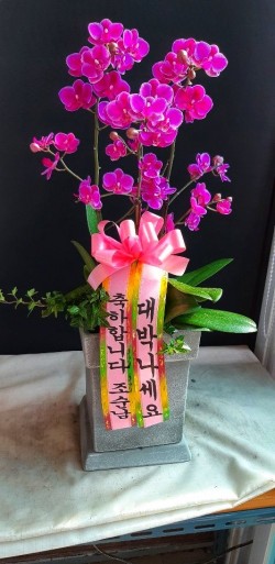 배송사진