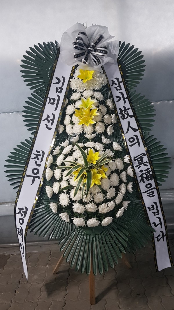 업로드 이미지