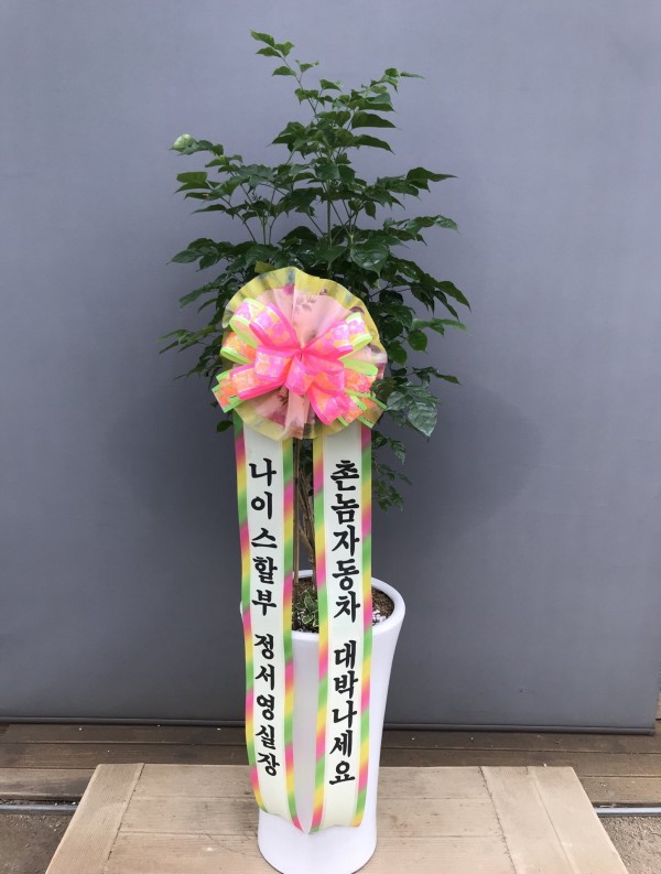 업로드 이미지
