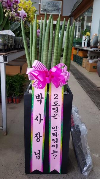 업로드 이미지