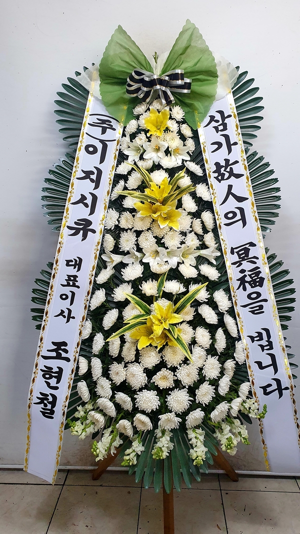 업로드 이미지
