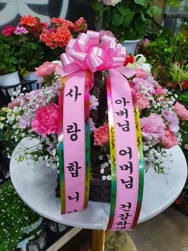 업로드 이미지