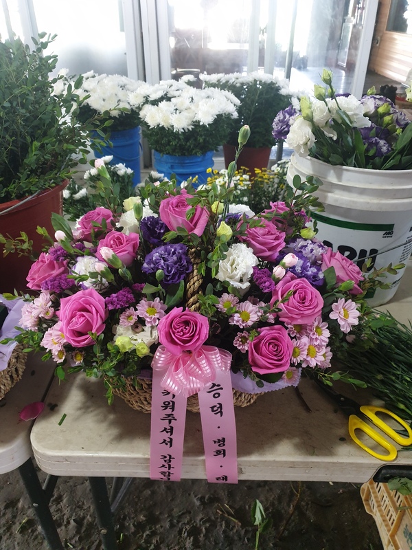 업로드 이미지