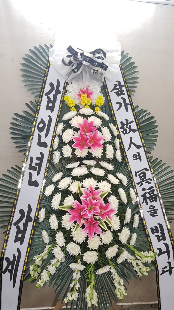 업로드 이미지