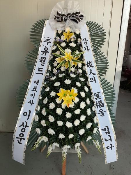 업로드 이미지
