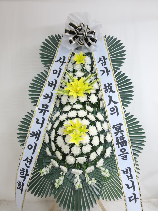 업로드 이미지