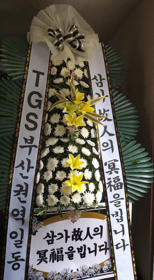 업로드 이미지