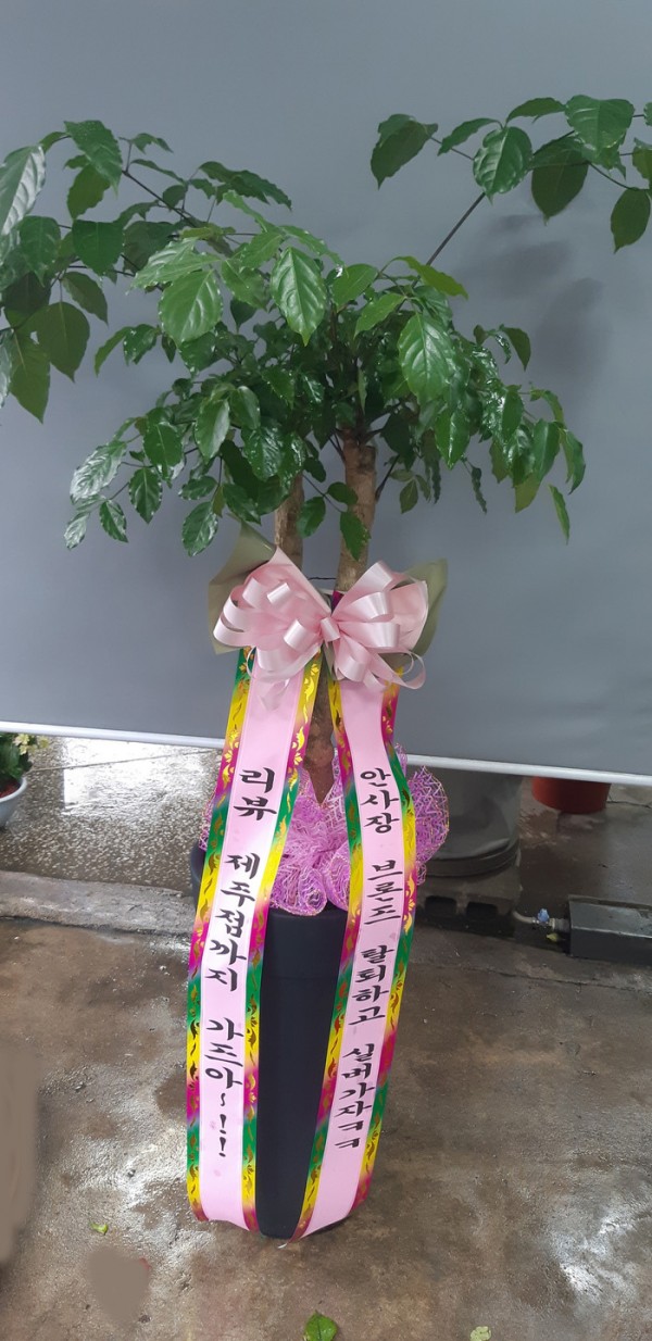 업로드 이미지