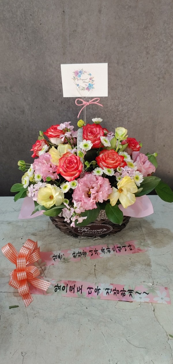 업로드 이미지