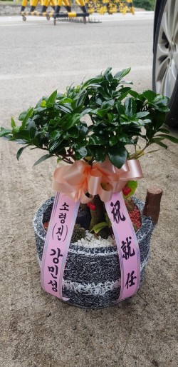 배송사진