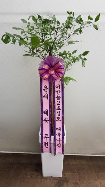 업로드 이미지