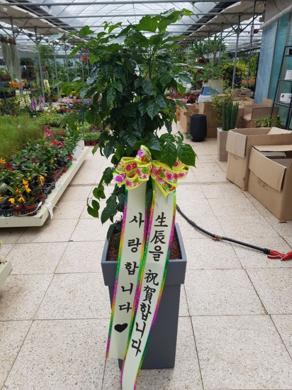 업로드 이미지