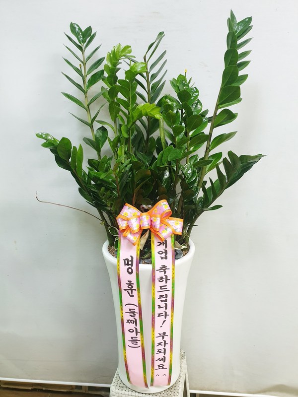 업로드 이미지
