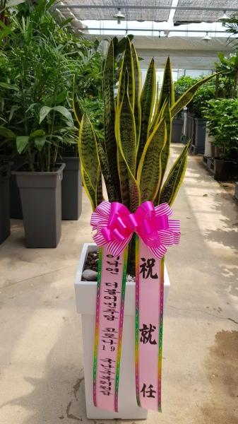 업로드 이미지