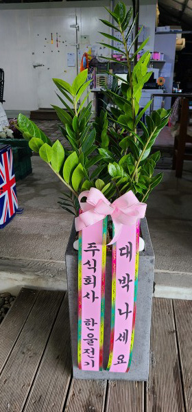 업로드 이미지