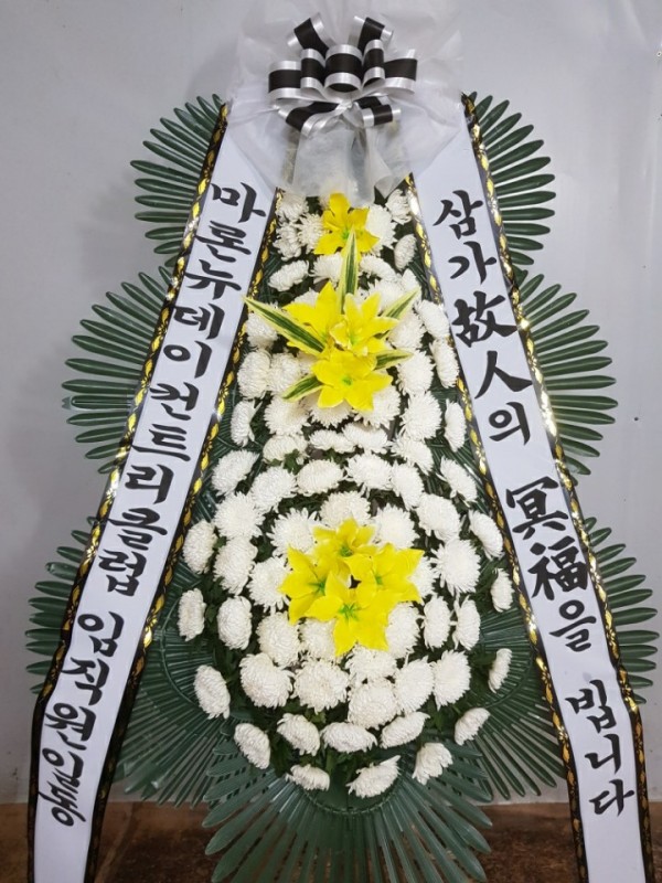 업로드 이미지