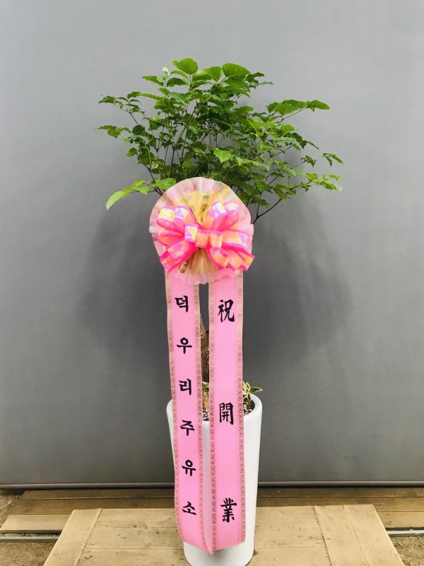 업로드 이미지