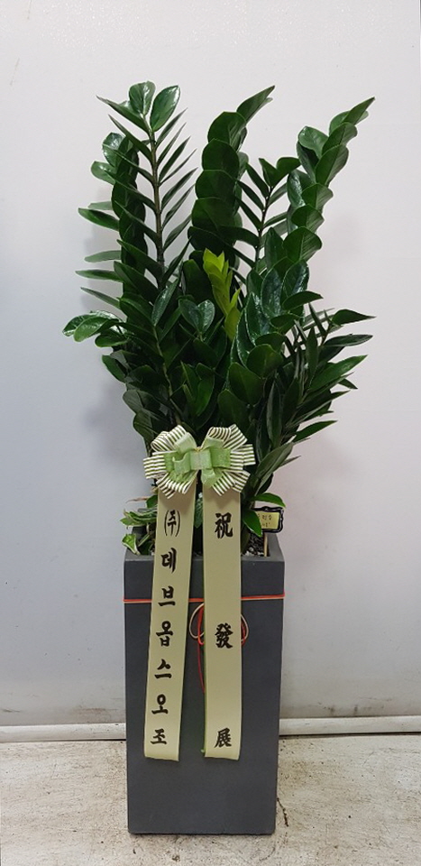 업로드 이미지