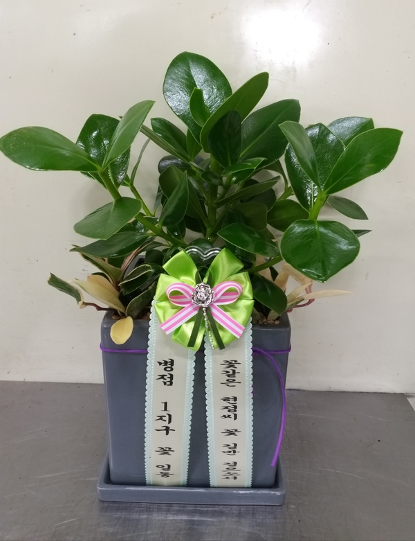 업로드 이미지