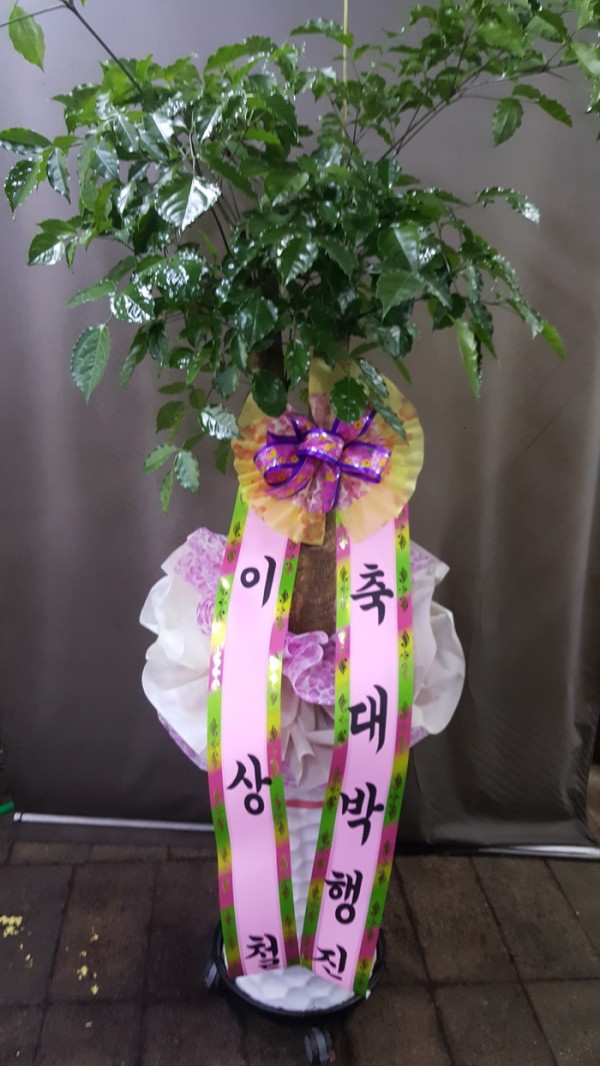 업로드 이미지