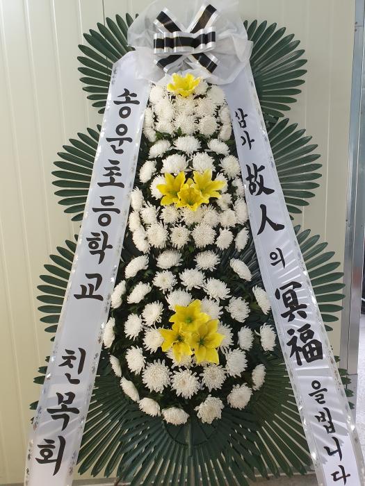 업로드 이미지