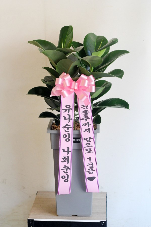 업로드 이미지