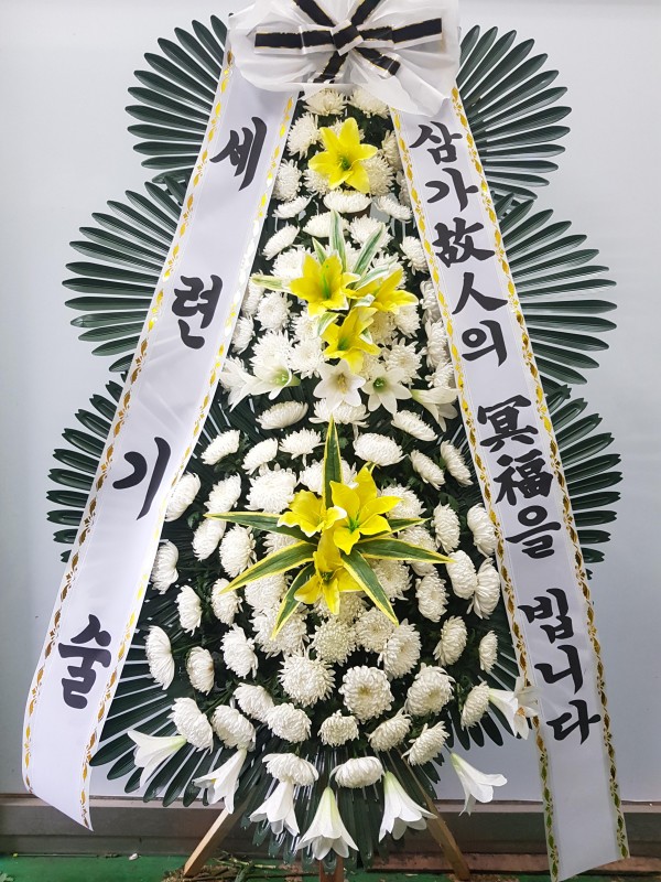 업로드 이미지