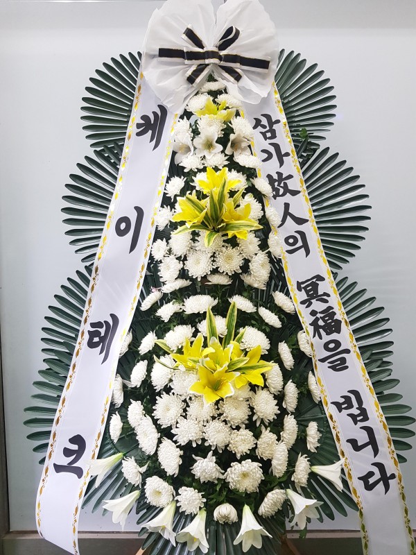 업로드 이미지