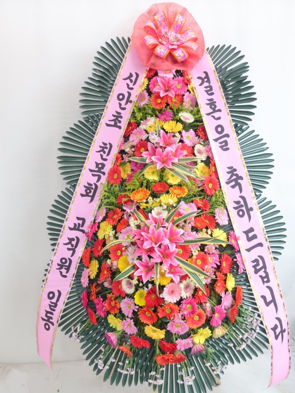 업로드 이미지
