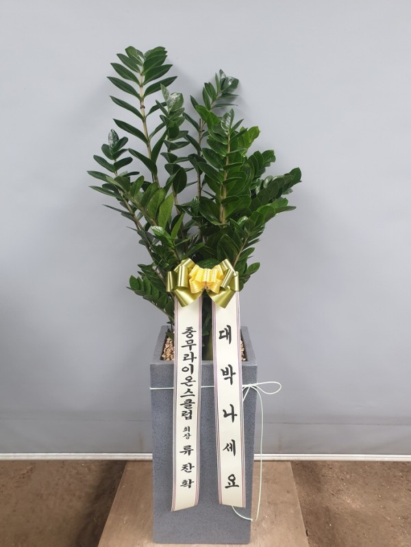 업로드 이미지
