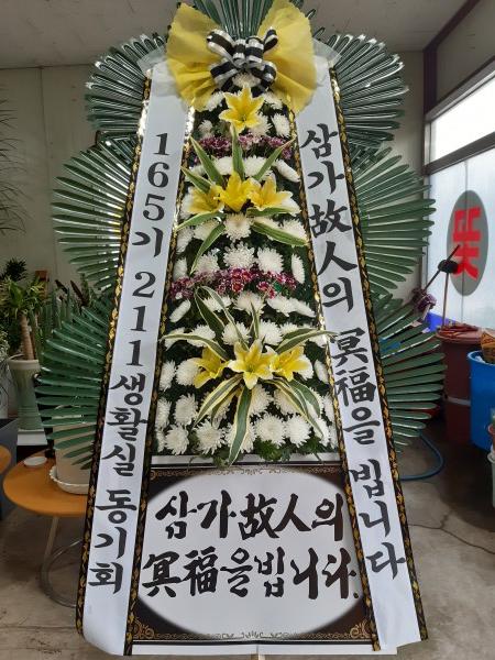 업로드 이미지