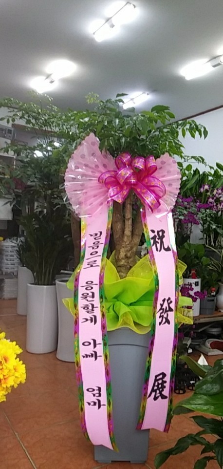업로드 이미지