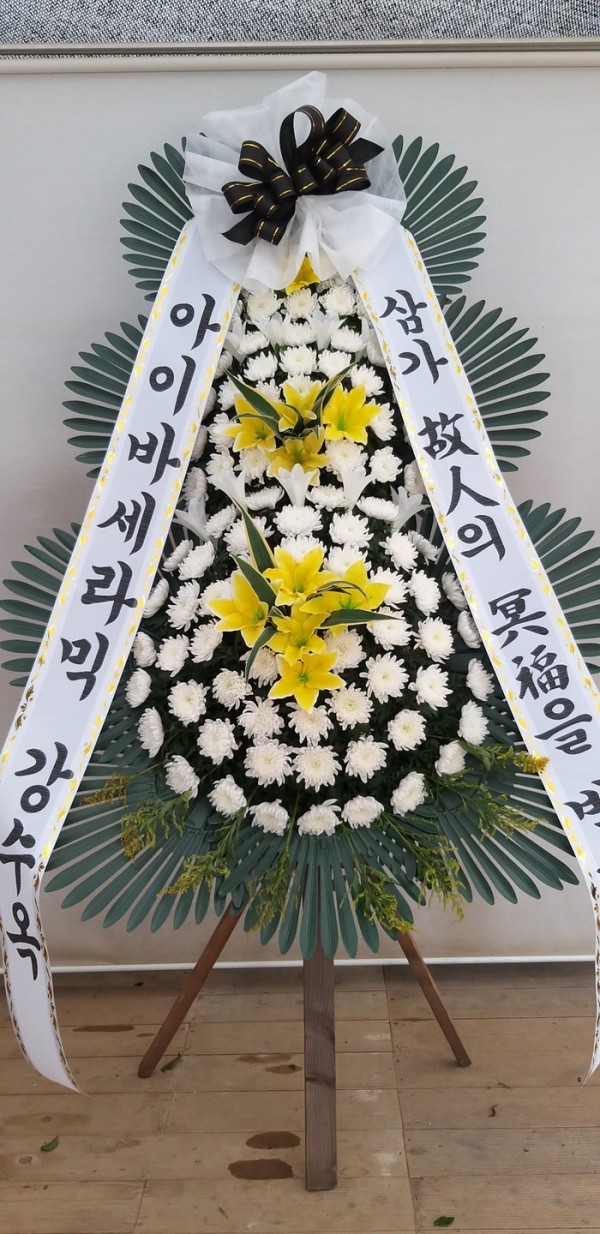 업로드 이미지