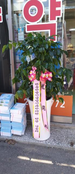 업로드 이미지