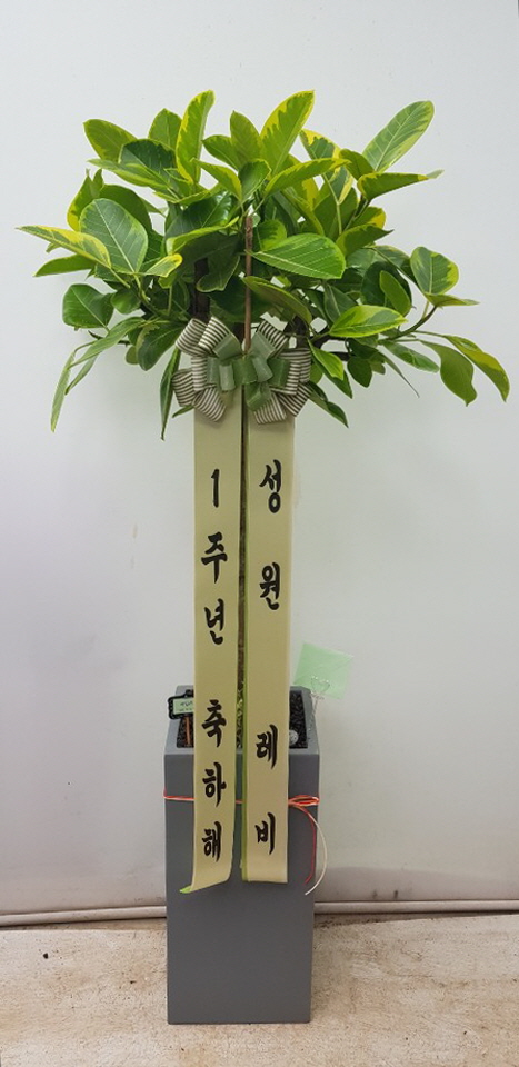 업로드 이미지
