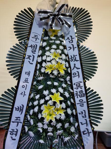 업로드 이미지
