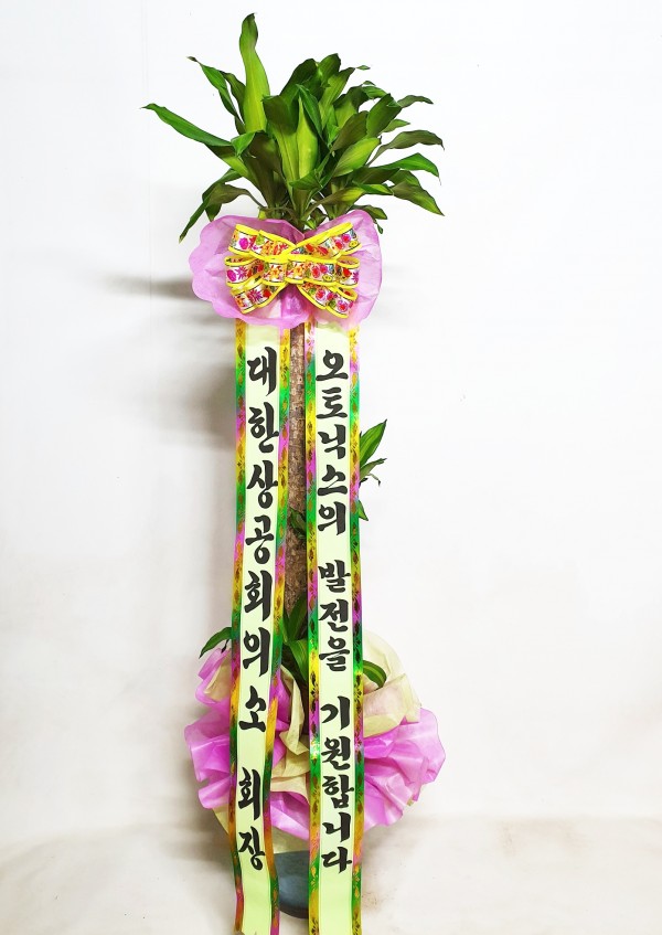 업로드 이미지