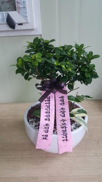 업로드 이미지