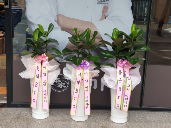 업로드 이미지