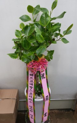 배송사진