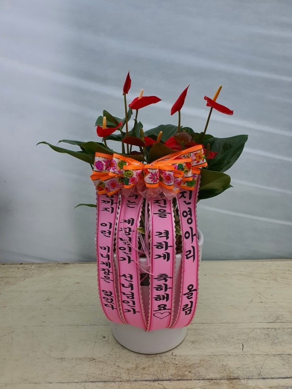 업로드 이미지
