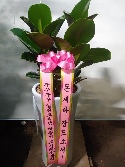 업로드 이미지