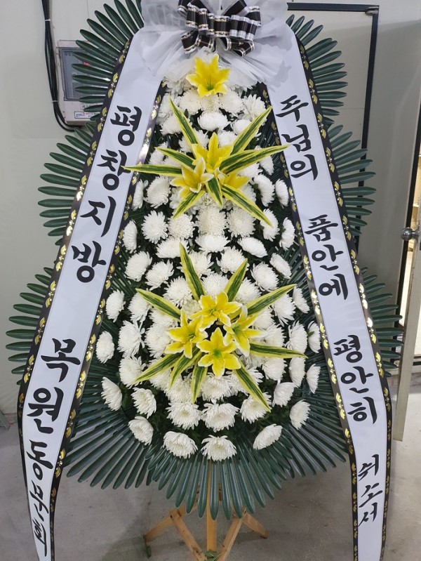 업로드 이미지