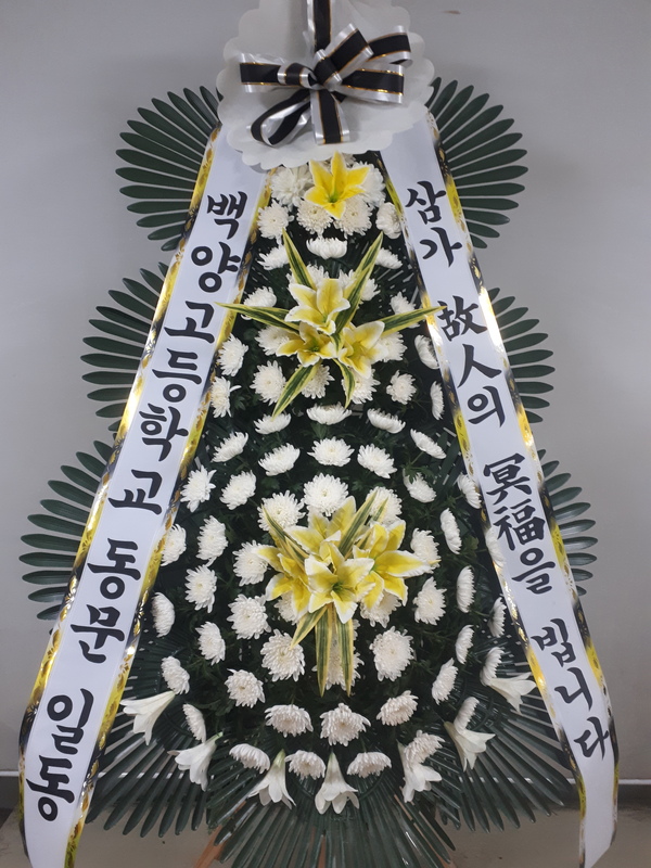 업로드 이미지