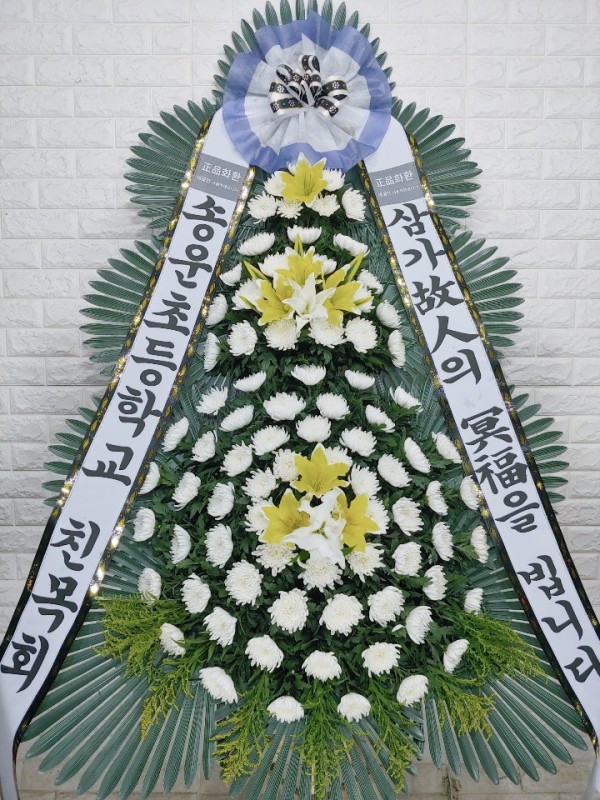 업로드 이미지