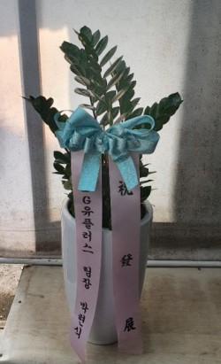 배송사진