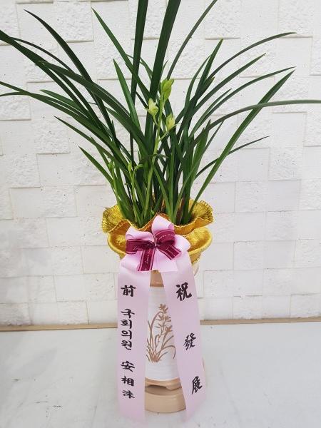 업로드 이미지