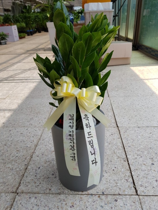 업로드 이미지