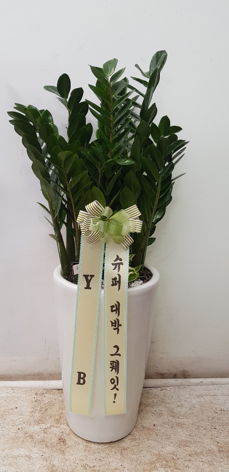 업로드 이미지